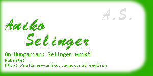 aniko selinger business card